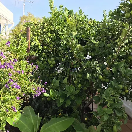 Luxury Oceanfront In - Next To Apartment