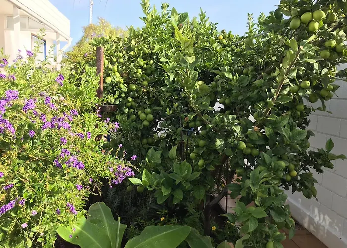 Luxury Oceanfront In - Next To アパート